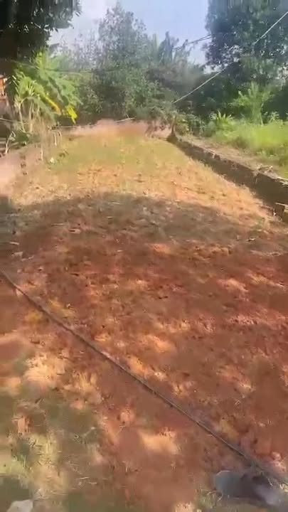 Đất nền Kim Đức Việt Trì 150m² giá 1 tỷ - Nở hậu đẹp, ô tô tận đất!