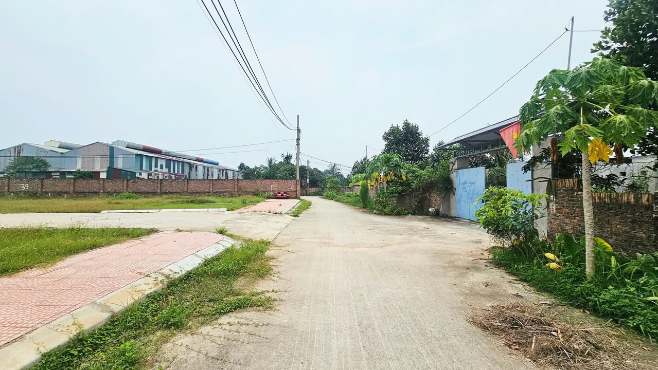 Đất phân lô ô tô vào, Tân Minh, Sóc Sơn 58,3m² chỉ 1,5 tỷ - Gần cao tốc Hà Nội - Thái Nguyên!