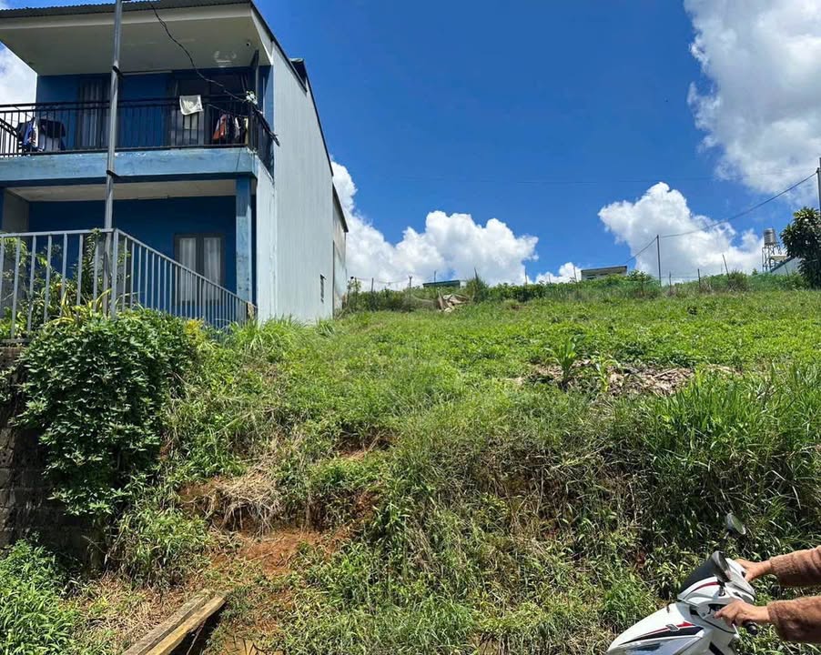 Đất thổ cư Bảo Lộc 100m² giá 1 tỷ - Hẻm xe hơi đường Trần Quý Cáp!