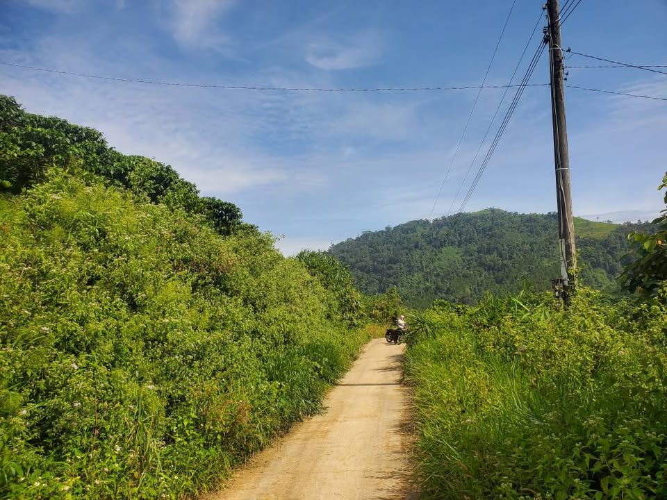 Đất nền Bảo Lộc 10.000m² giá chỉ 250 triệu - Sổ đỏ chính chủ