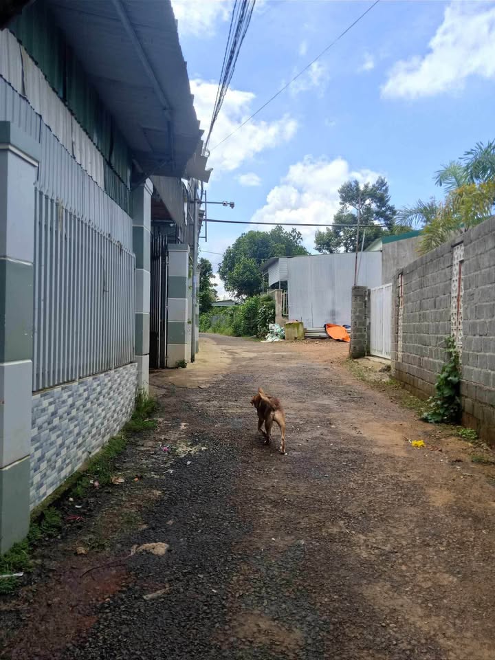 Nhà phố Phan Đình Phùng Bảo Lộc 87m² giá 1.6 tỷ - Chính chủ bán gấp!