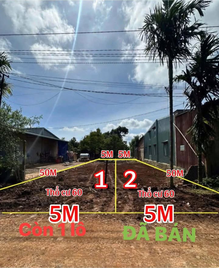 Đất nền Tân An Buôn Ma Thuột 250m² giá 1.2 tỷ - Lô đất đẹp hiếm có!