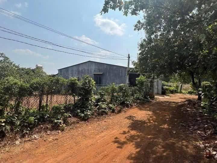 Đất thổ cư 518m² Hòa Phú giá 5.18 tỷ - Cơ hội đầu tư hấp dẫn!