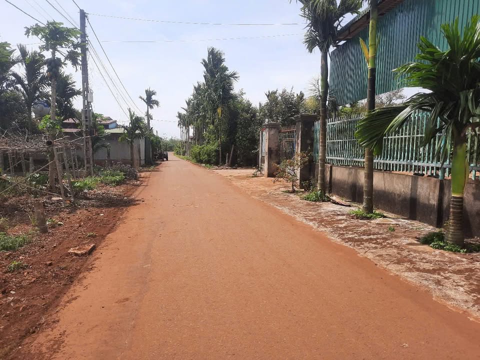 Đất nền Hòa Đông, Krông Pắc 270m² giá 979 triệu - Đường nhựa ô tô né nhau!