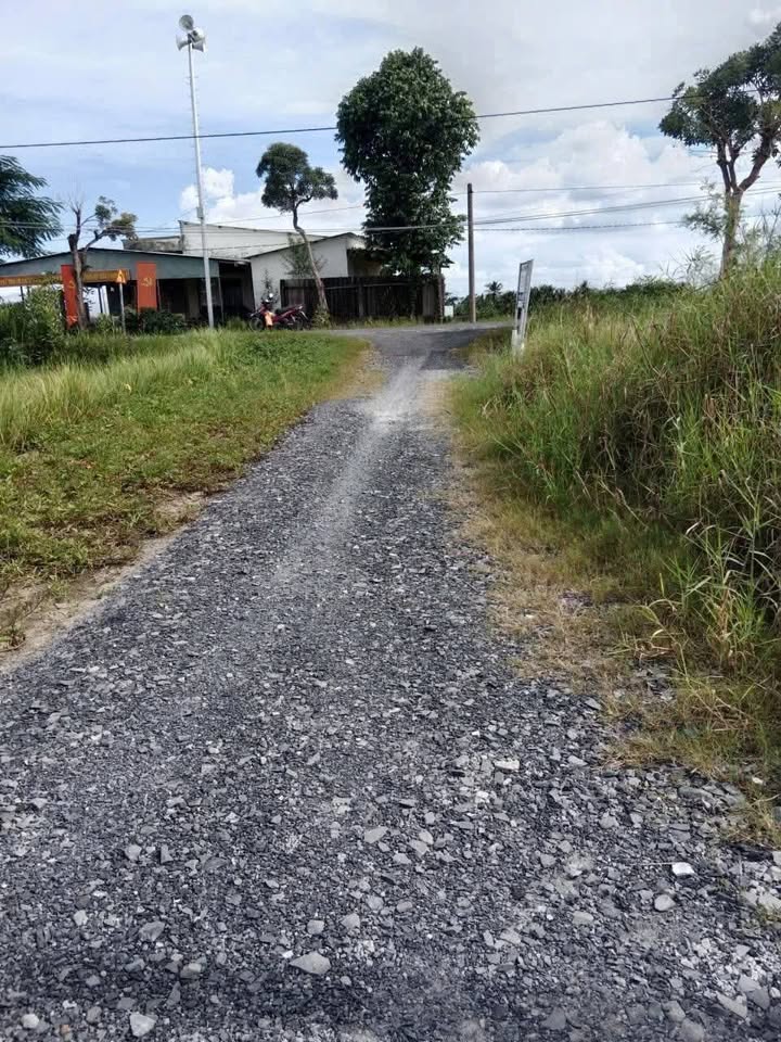 Đất lúa 2000m² ấp 5 Hòa Phú, Châu Thành, Long An - Giá chỉ 1.1 tỷ!