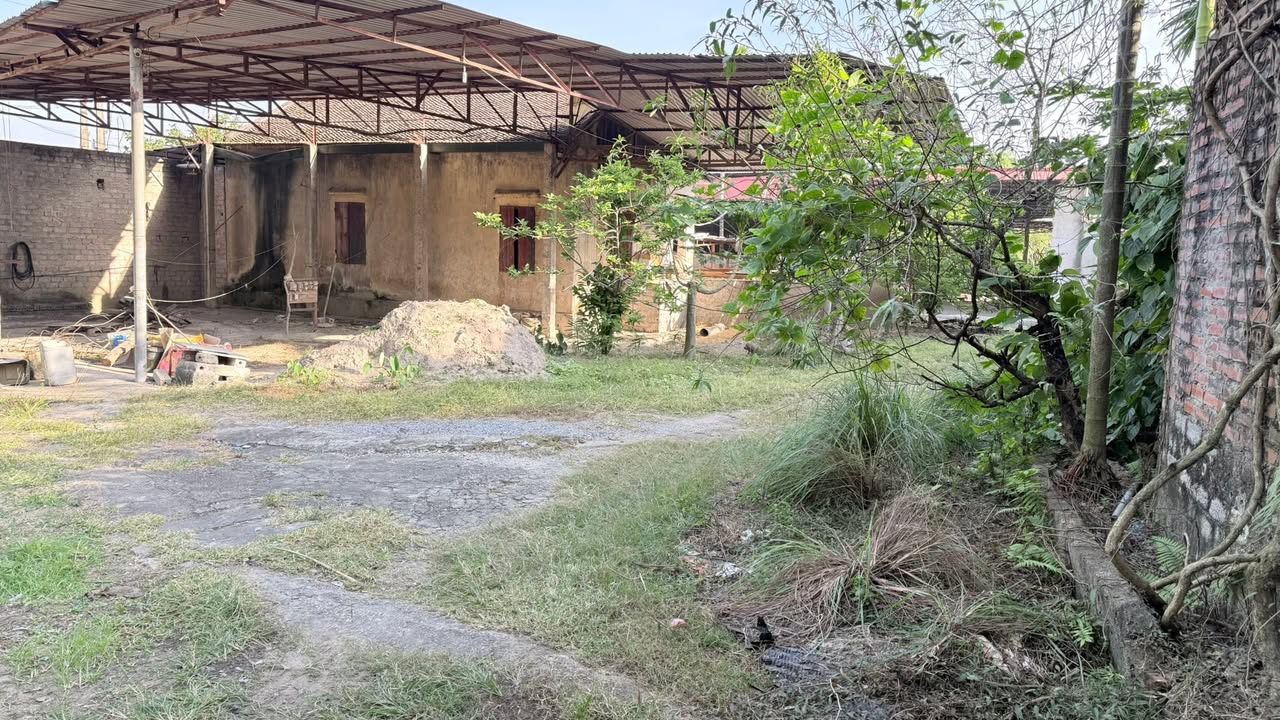 Đất nền tại Danh Thắng, Hiệp Hòa 220m² giá chỉ 800 triệu - Đầu tư sinh lời ngay!