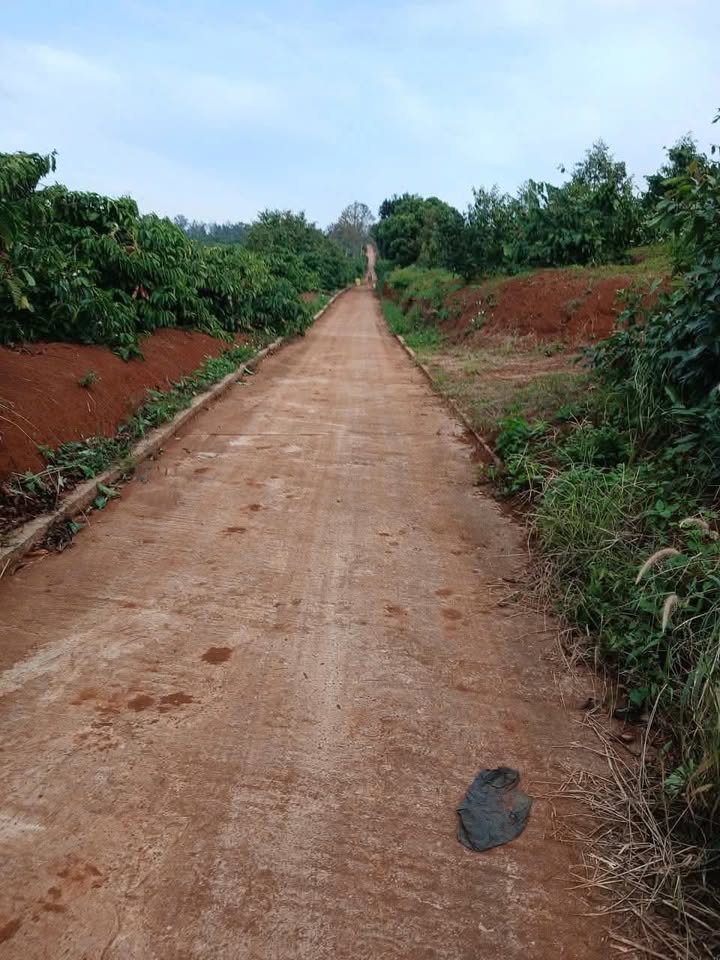 Đất nền 1ha mặt tiền đường bê tông tại Ea Nam, giá 2.8 tỷ - Cơ hội đầu tư tuyệt vời!