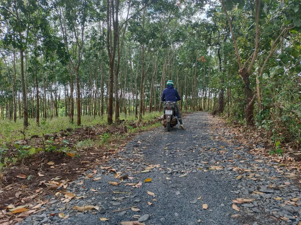 Đất nền Ea Kiết Cư M'gar 600m² giá 140 triệu - Cơ hội đầu tư tuyệt vời!