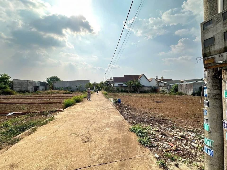 Đất nền Tây Hòa, Trảng Bom 100m² giá chỉ 780 triệu - Cơ hội đầu tư tuyệt vời!