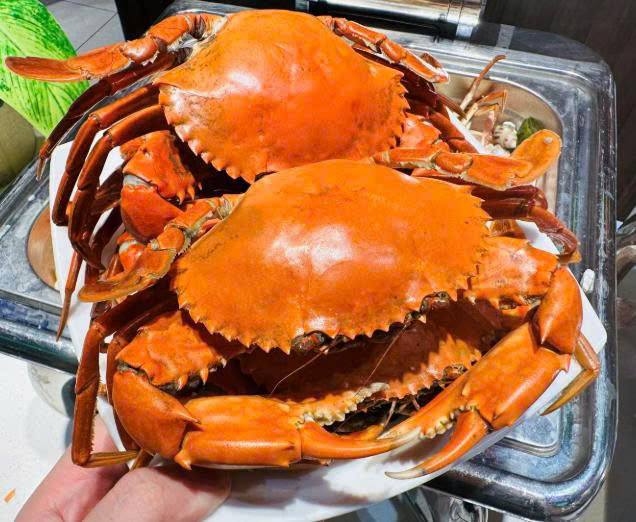 Đất nền Lưu Vĩnh Sơn, Thạch Hà 287,5m² giá 1,4 tỷ - Đầu tư sinh lời ngay!