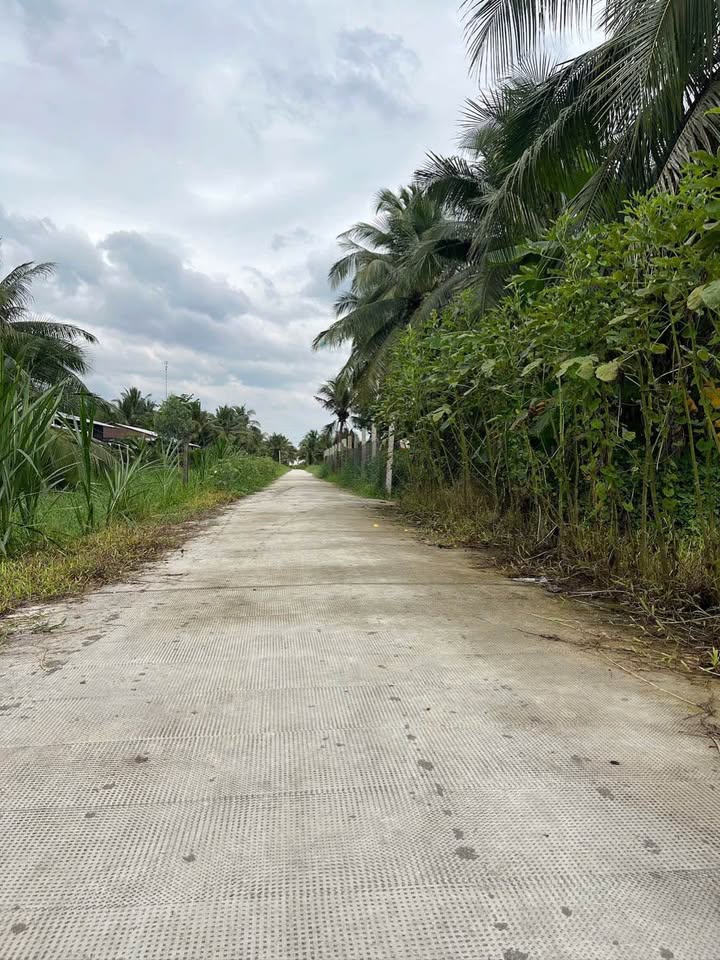 Đất nền mặt tiền hẻm sân bia Phú Tân 700m² - Cơ hội đầu tư sinh lời!