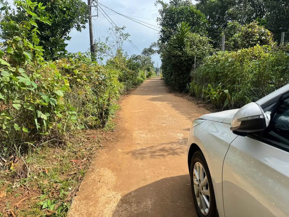 Đất nền Lý Thường Kiệt, An Phú, 100m² chỉ 500 triệu - Cơ hội đầu tư tuyệt vời!