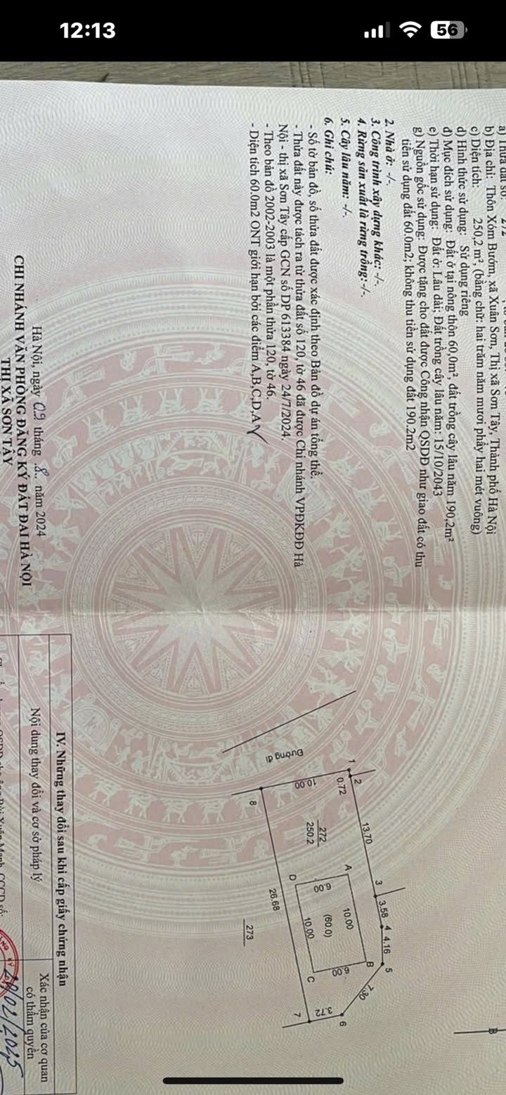 Đất nền 250m² phường Tùng Thiện Sơn Tây giá 2 tỷ - Đầu tư sinh lời ngay!