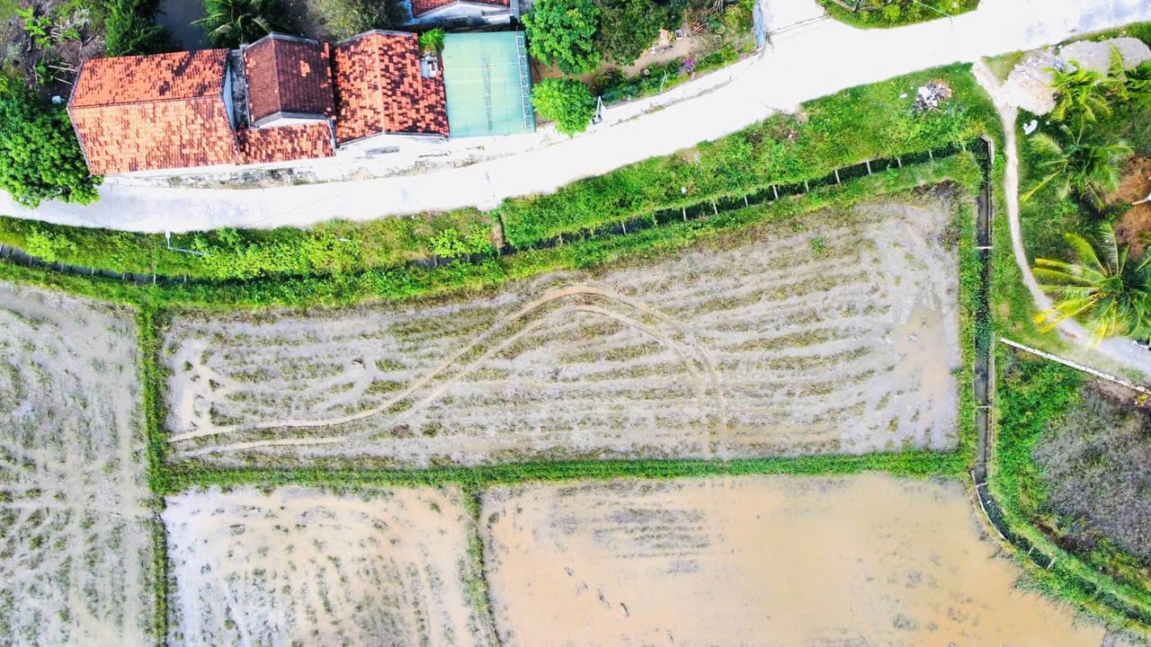 Đất nền Ninh Hòa 755m² giá 3.775 tỷ - Diện tích lớn, vị trí thuận lợi!