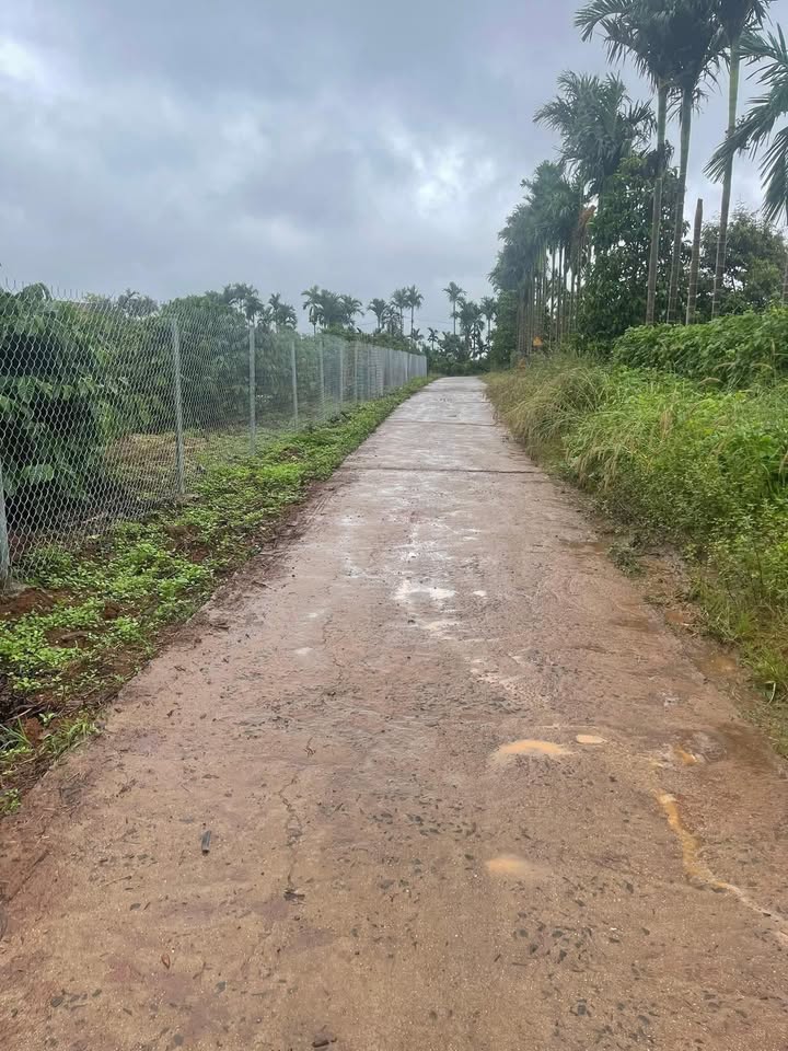 Đất thổ cư 1 hecta tại Long Sơn - Giá 3,2 tỷ, đầu tư sinh lời ngay!