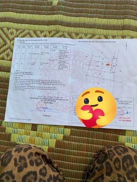 Đất nền Phương Trung, Thanh Oai 70.9m² giá 2 tỷ - Vị trí cực kỳ thuận lợi!