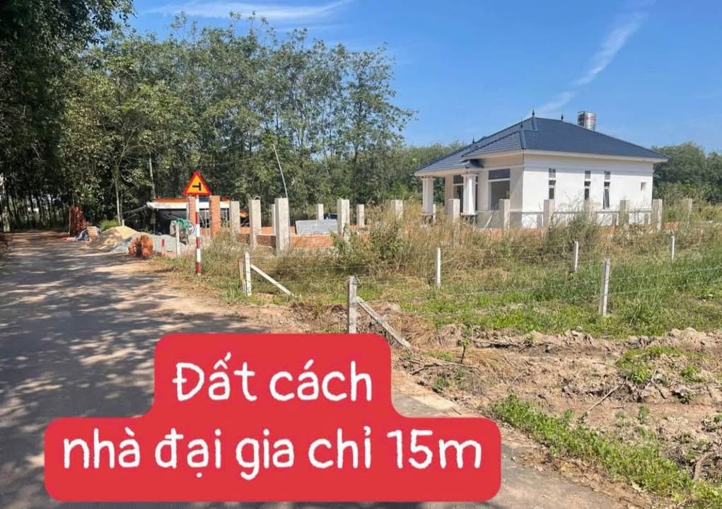 Đất Minh Thạnh Dầu Tiếng 250m² giá 499 triệu - Mặt tiền nhựa thuận lợi!