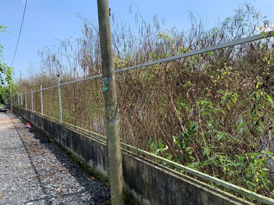 Đất nền Hưng Long, Bình Chánh 3800m² - Giá tốt, sổ đỏ chính chủ!