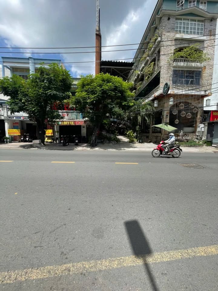 Nhà mặt tiền Trương Công Định, Tân Bình 90m² giá 23 tỷ - Vị trí đắc địa kinh doanh!