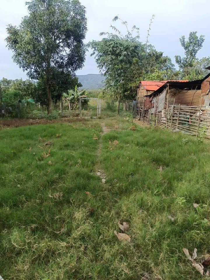 Đất thổ cư Đạ Tẻh 4752m² giá 1.7 tỷ - Đầu tư sinh lời ngay!