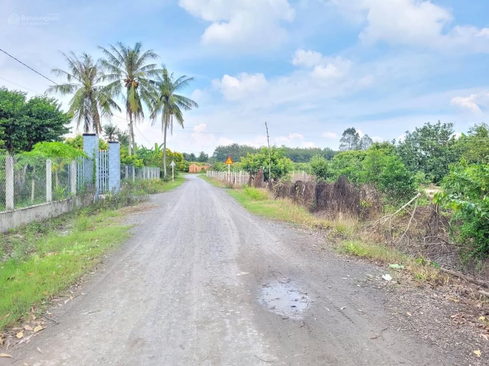 Đất thổ cư 300m² xã Lộc Ninh, Dương Minh Châu - Giá chỉ 450 triệu!