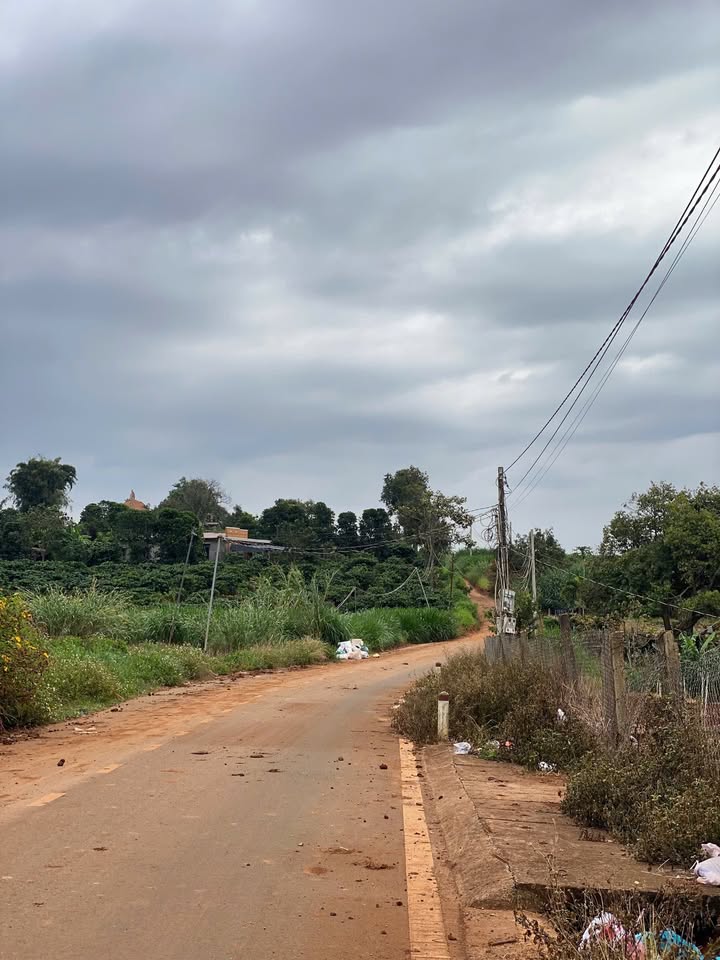 Đất nền Hiệp Thạnh, Đức Trọng 280m² giá chỉ 2.2 tỷ - Đầu tư sinh lời lý tưởng!