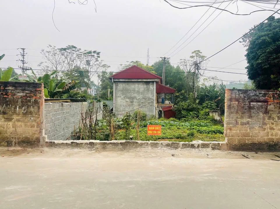 Bán đất Phù Ninh, Phú Thọ 88m² giá 1 tỷ - Cơ hội đầu tư sinh lời!