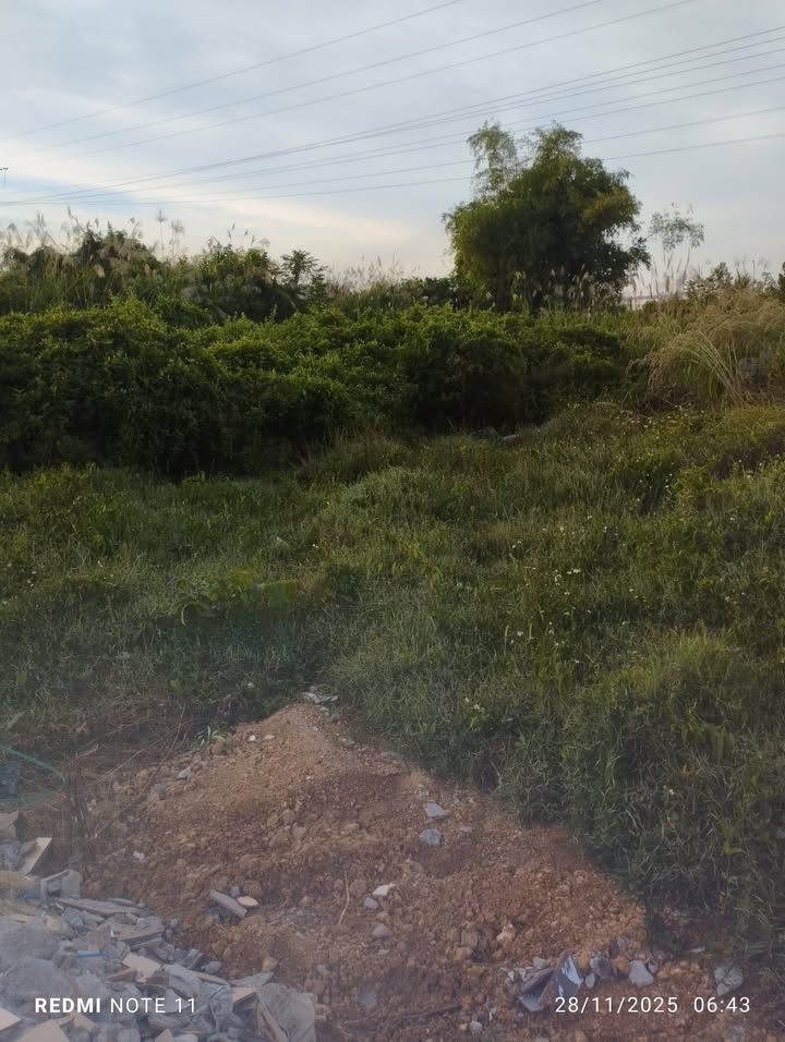 Đất sạch 2000m² tại Nghĩa trang xã Thống Nhất, Quảng Ninh - Cơ hội đầu tư hấp dẫn!