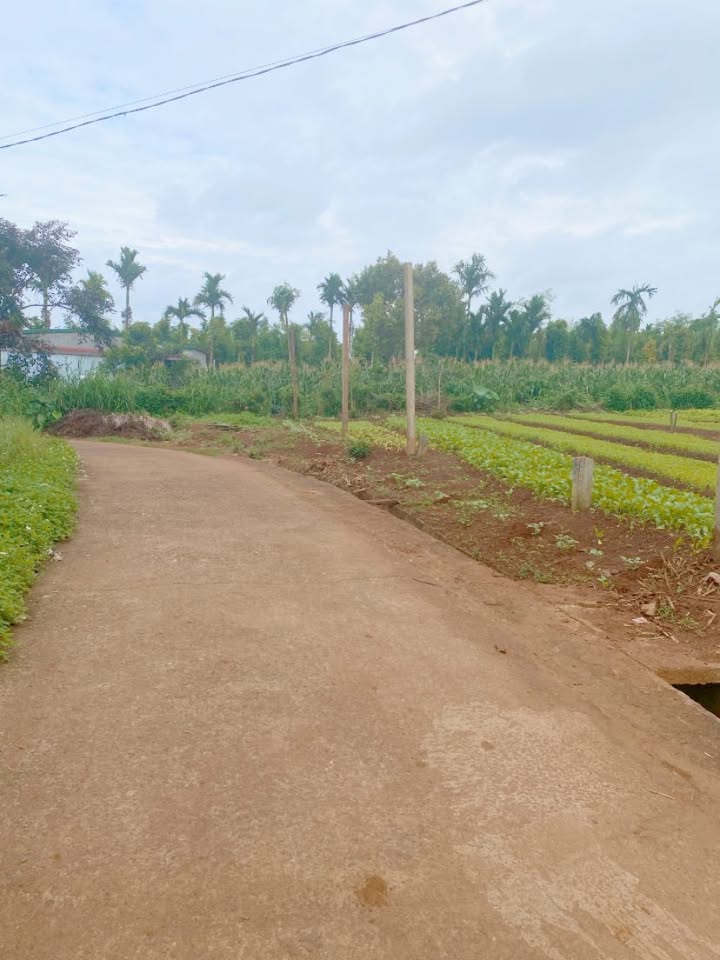 Đất nền Phú Xuân 135m² giá 290 triệu - Cơ hội đầu tư tuyệt vời!