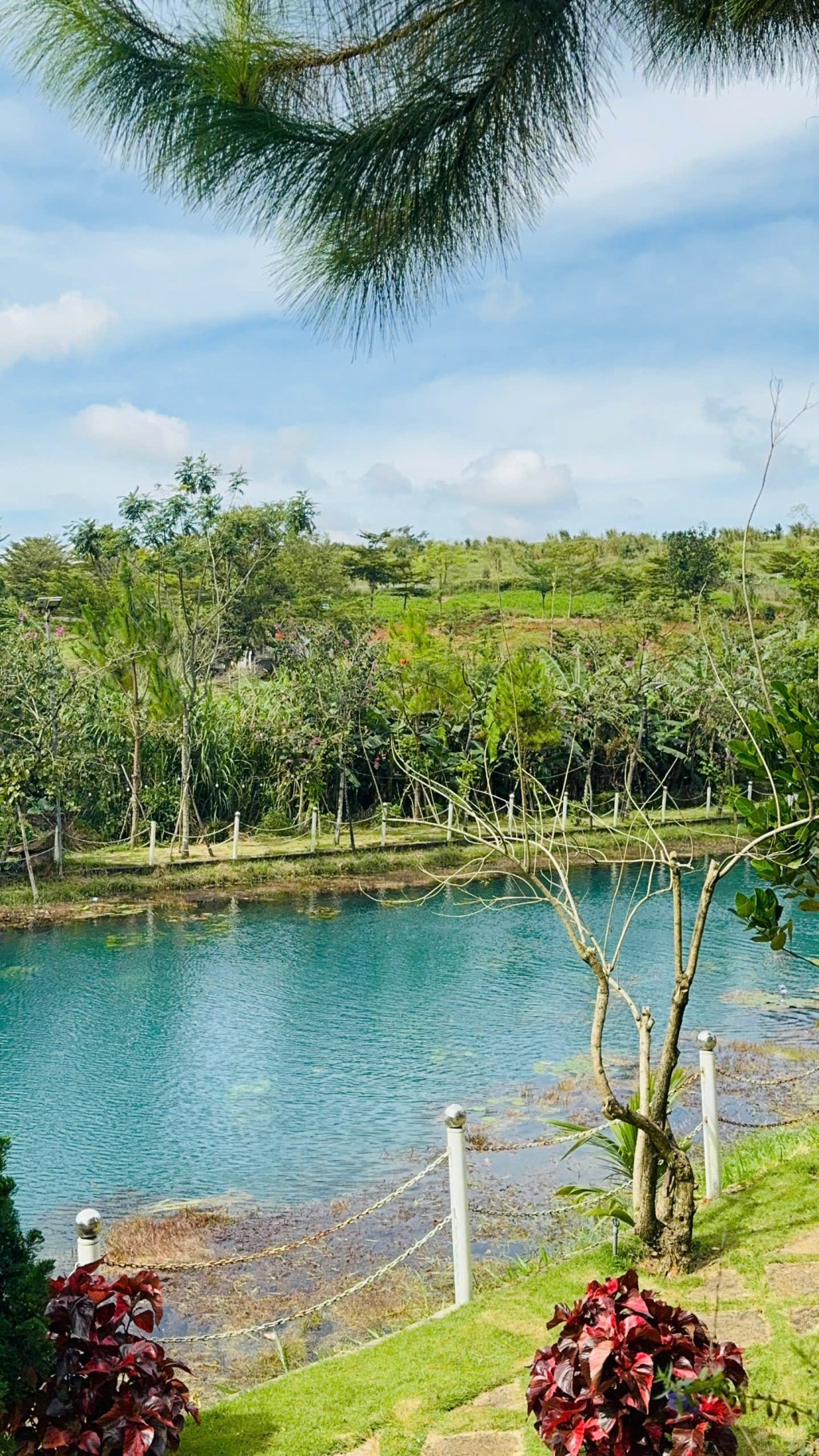 Đất nghỉ dưỡng Lộc Tân, Bảo Lộc 150m² giá 900 triệu - Không khí trong lành, đầu tư sinh lời!