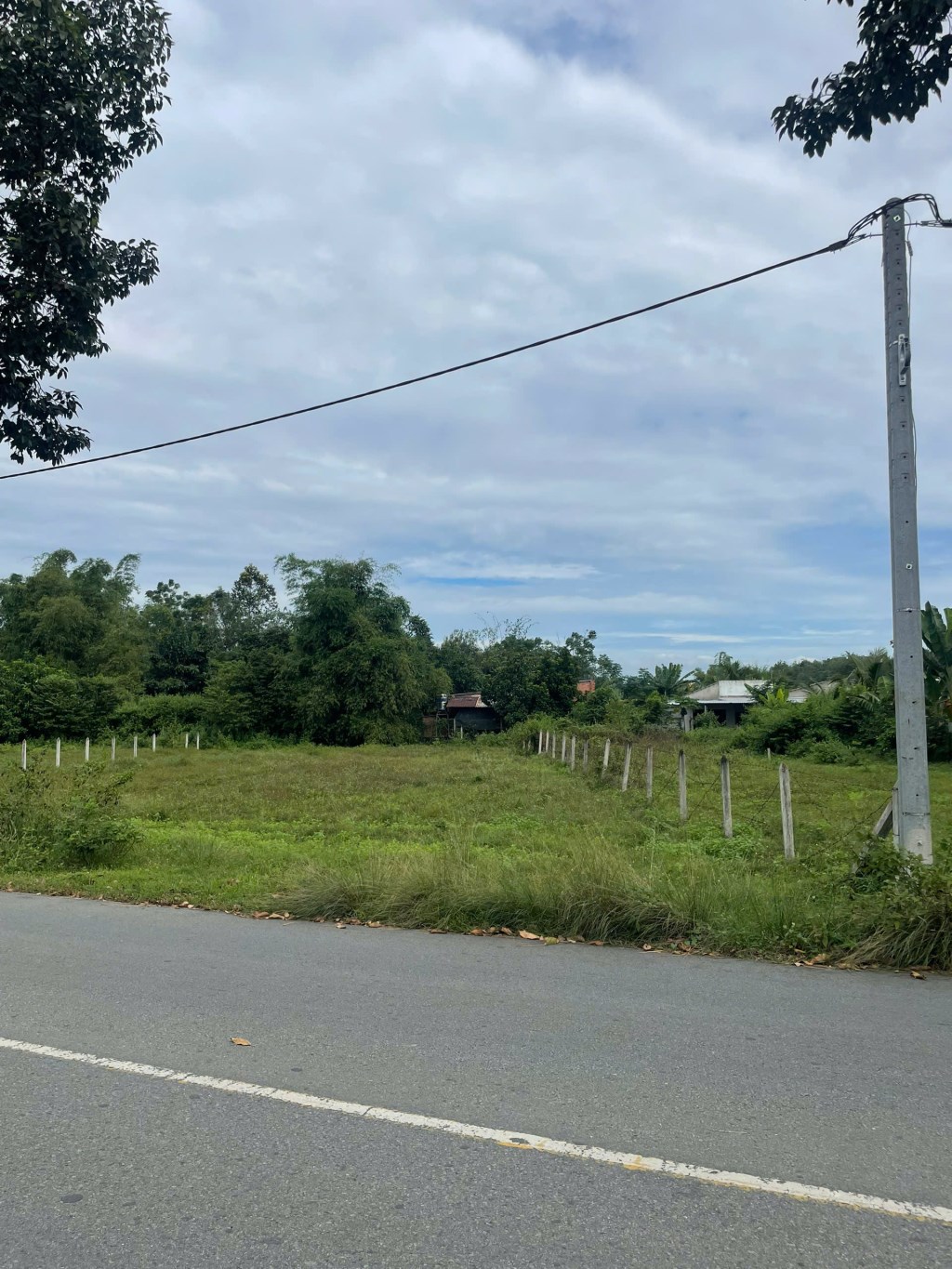 Đất vườn 600m² tại đường Cây Trôm, Mỹ Khánh - Giá chỉ 2.4 tỷ, sổ hồng riêng!