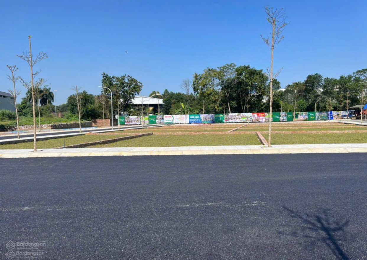 Đất thổ cư Phú Cát 100m² giá 4 tỷ - Đầu tư sinh lời ngay tại Hòa Lạc!