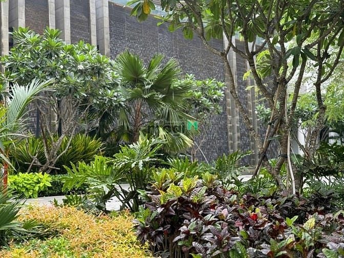 Văn phòng cho thuê 6 chỗ ngồi tại Midtown Phú Mỹ Hưng 60m² - Giá ưu đãi chỉ 15 triệu/tháng!