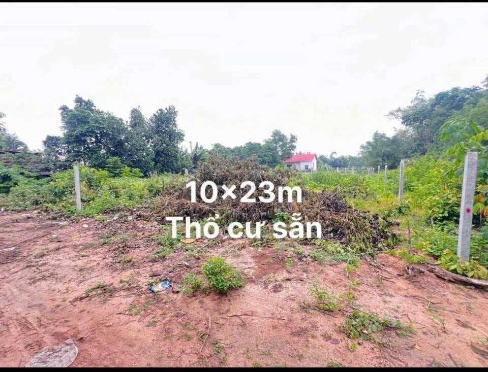 Bán gấp lô đất 230m² có thổ cư giá 686 triệu - Đầu tư lý tưởng gần KCN Hiệp Thạnh!