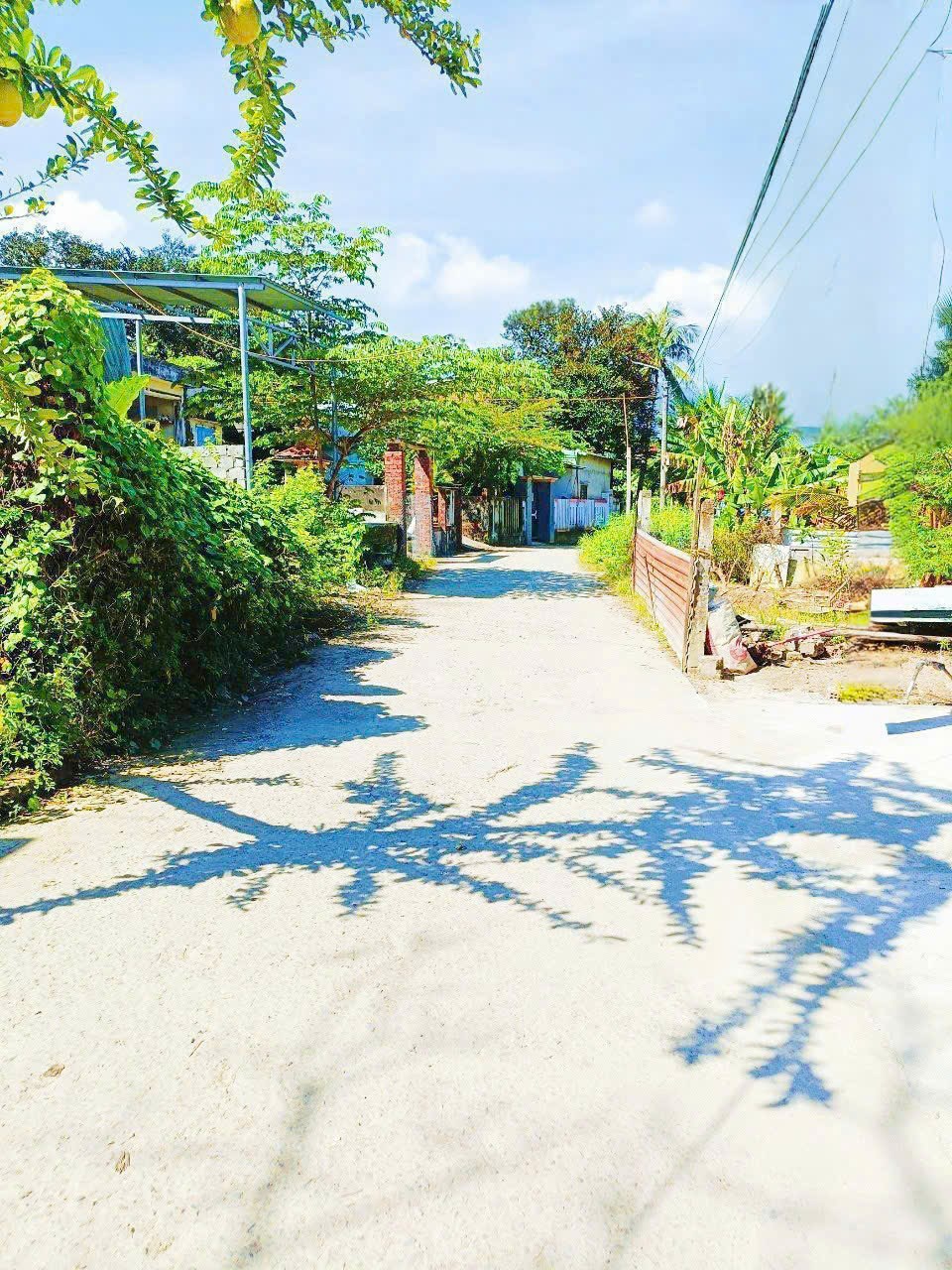 Đất nền Hòa Liên 100m² giá 1.25 tỷ - Gần UBND xã, ô tô vào tận nơi!