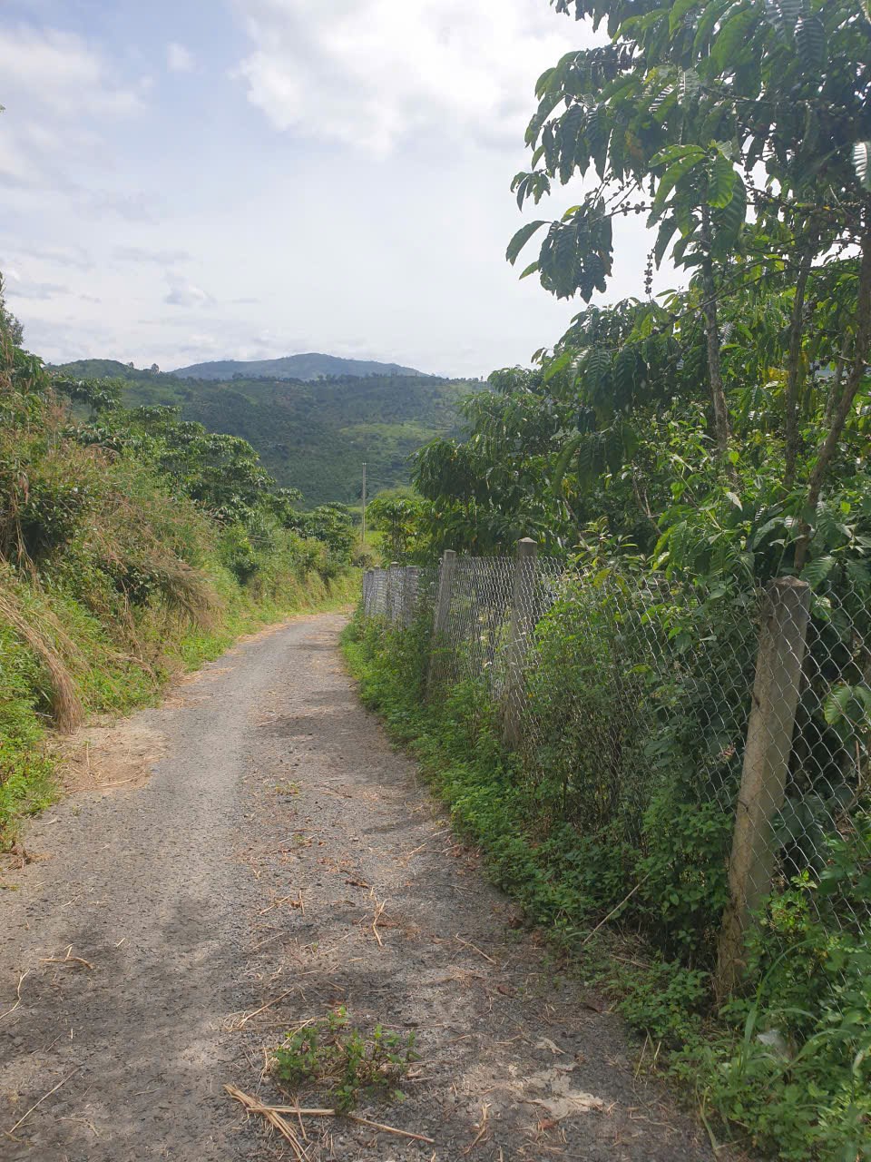 Bán đất vườn Lộc Nam, Bảo Lâm 8.876m² giá 5,9 tỷ - View đồi núi tuyệt đẹp!