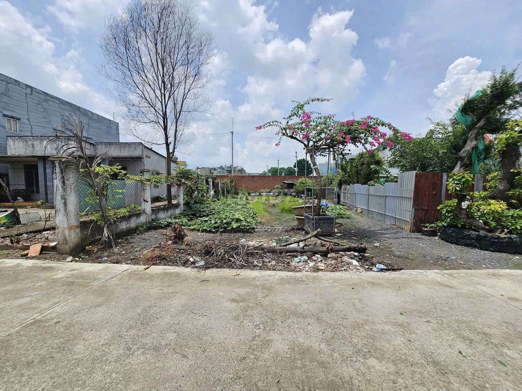 Đất nền phường Tân Bình, TP Dĩ An 145m² giá 3.25 tỷ - Sổ hồng riêng, xây dựng tự do!