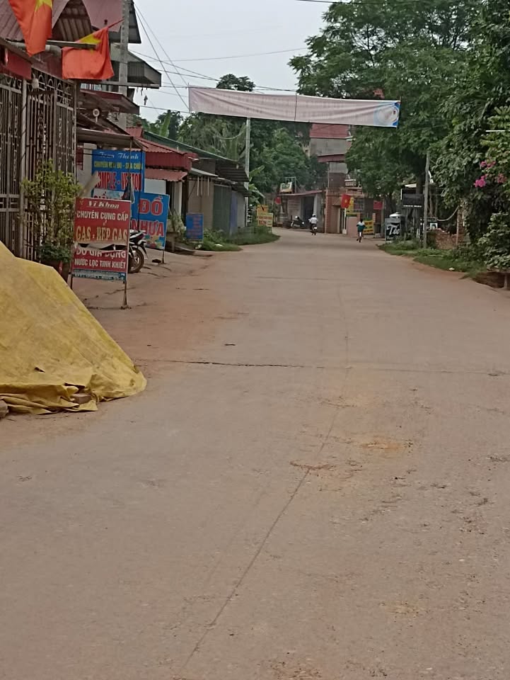 Nhà cấp 4 Hương Sơn Phú Bình 103m² - Vị trí kinh doanh đắc địa!