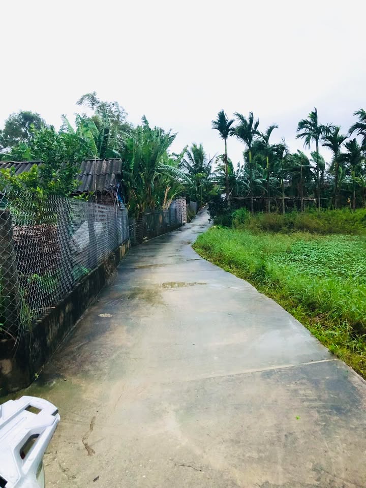 Bán đất Phổ Minh, Đức Phổ 176m² - Sổ đỏ chính chủ, giá thỏa thuận!