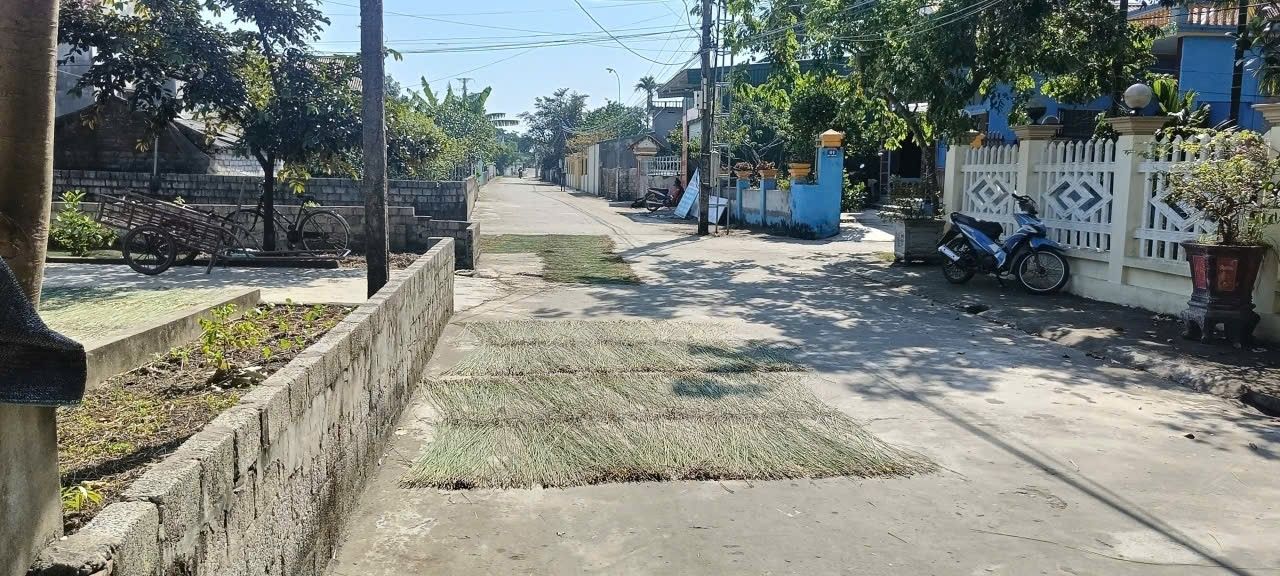 Đất nền Quảng Phúc 110m² giá chỉ 200 triệu - Sổ đỏ chính chủ, đầu tư sinh lời!