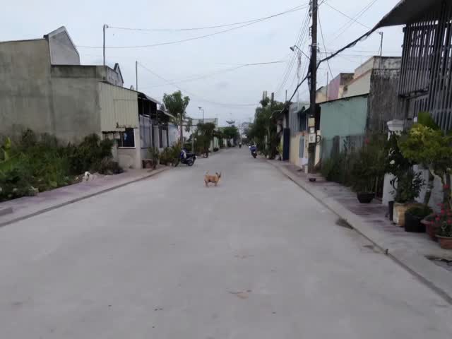 Nhà 2 mặt tiền KDC Phúc Lộc Thọ, Vĩnh Lợi, Bạc Liêu - Chỉ 1.7 tỷ