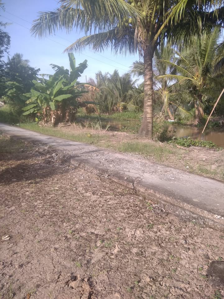 Đất nền 900m² tại ấp Thông Lưu A, xã Châu Hưng A, Vĩnh Lợi - Giá tốt chỉ 900 triệu!