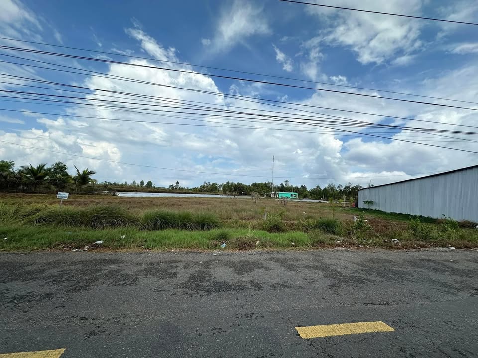 Đất nền mặt tiền xã Tân Thạnh, 200m² giá 800 triệu - Đầu tư kinh doanh thuận lợi!