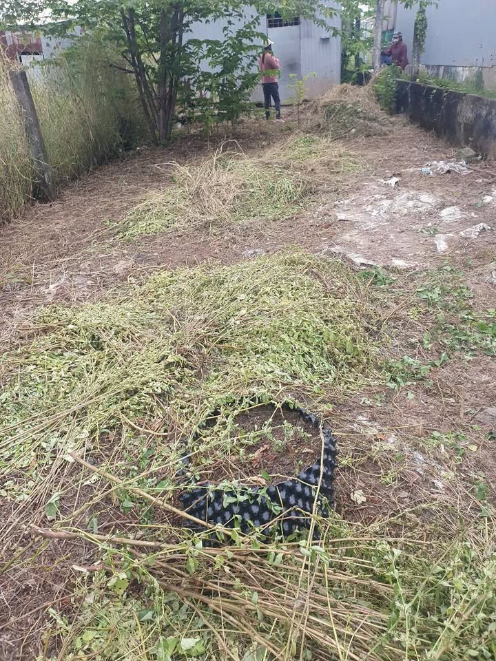 Đất nền Rạch Ông Bổn 285m² giá 590 triệu - Hướng Nam, ô tô tới nơi!