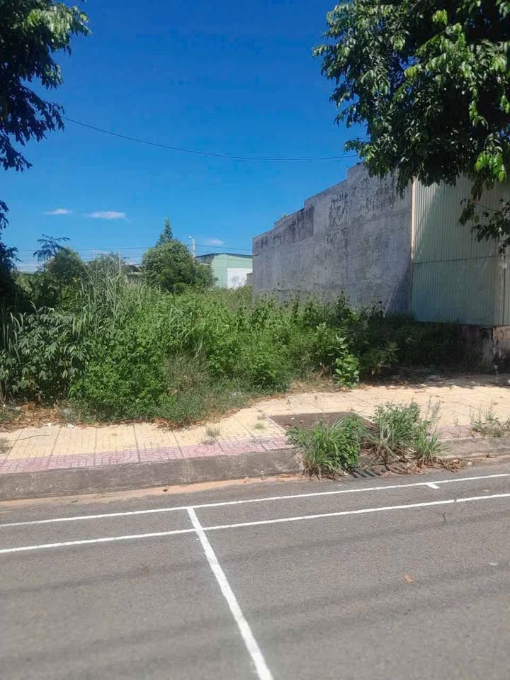 Đất thổ cư mặt tiền đường nhựa thị trấn Phú Long 100m² giá 1.1 tỷ - Gần chợ và trường học!