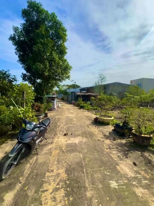 Đất nền Hòa Xuân - Cẩm Lệ 128m² giá 1.65 tỷ - Đầu tư sinh lời ngay!