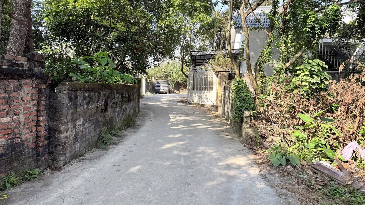 Lô đất thổ cư Dinh Hương, Thị trấn Thắng 81,3m² giá 1,4 tỷ - Vị trí đắc địa hiếm có!