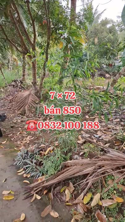 Đất nền Tân Phú Thạnh, Châu Thành A, Hậu Giang 500m² giá 850 triệu - Cơ hội đầu tư lý tưởng!