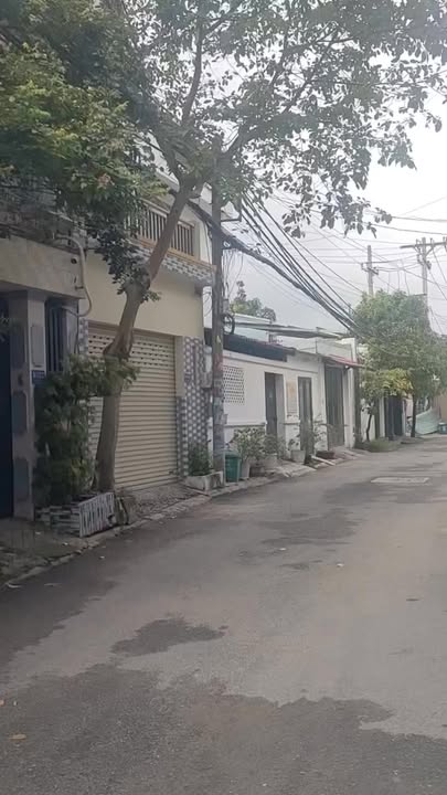 Đất nền Tăng Nhơn Phú B, Quận 9, Diện tích 2836m², Giá 35 tỷ - Đầu tư sinh lời ngay!