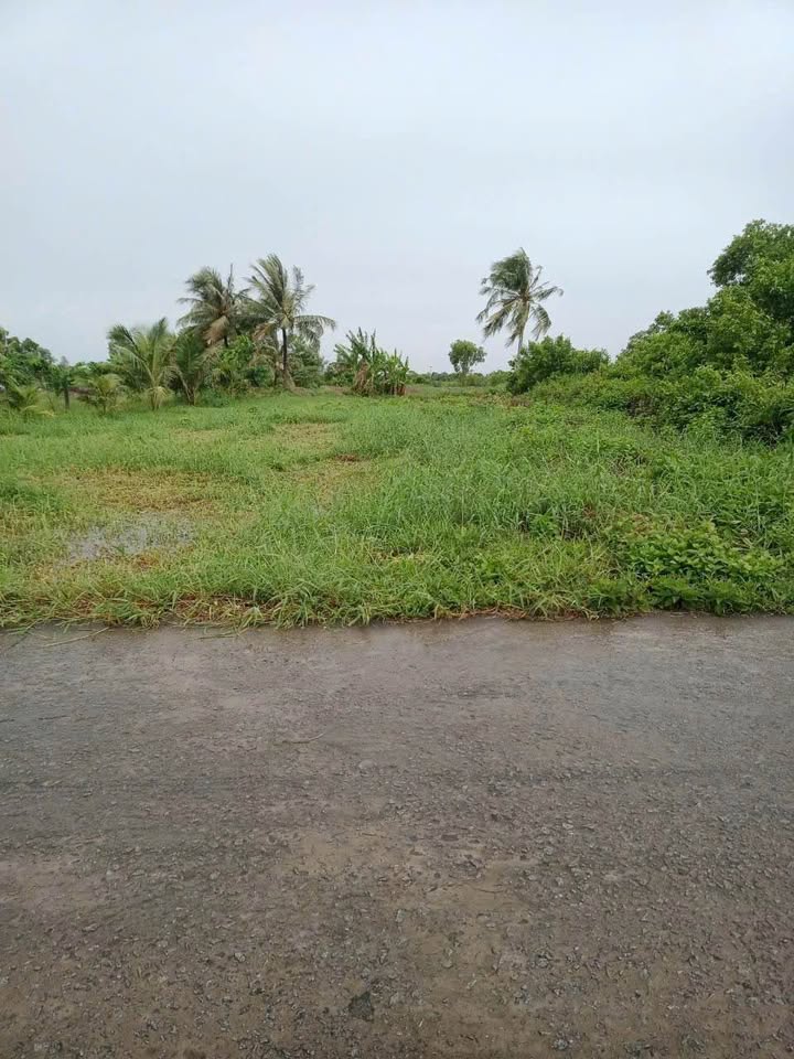 Đất nền xã Tắc Vân Cà Mau 825m² - Cơ hội đầu tư sinh lời!